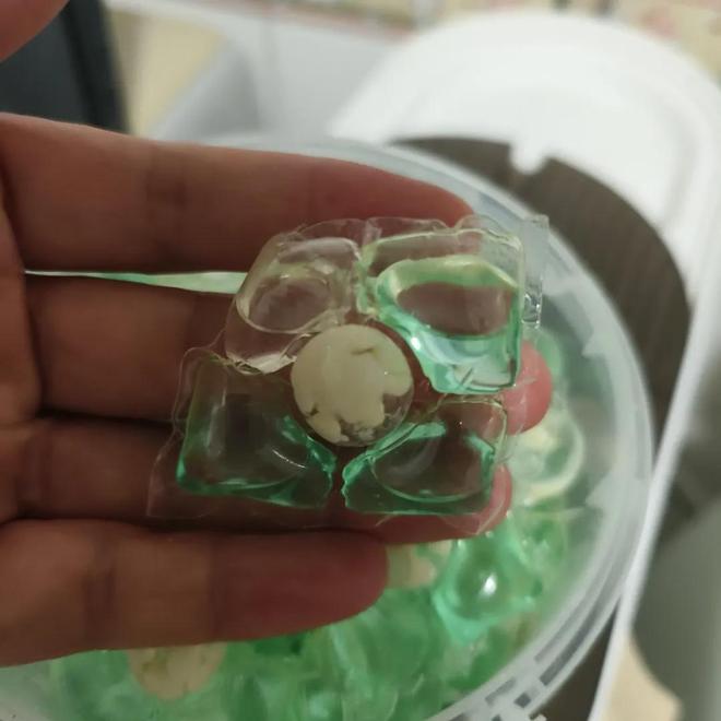 “智商税”？这6个痛点让其换回洗衣粉瓦力棋牌游戏洗衣凝珠是“真实用”还是(图11)